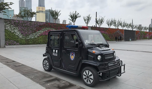 4人座 封閉巡邏車 EG6310P