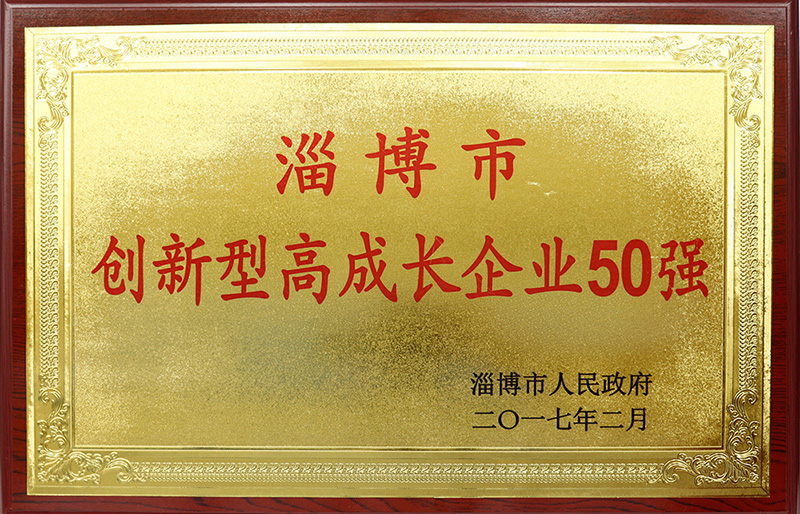創(chuàng)新型告成長企業(yè)50強(qiáng)